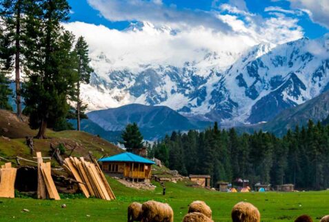 pakistan honeymoon packages